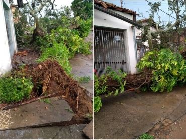 Chuva provoca alagamentos e queda de árvores em Avaré