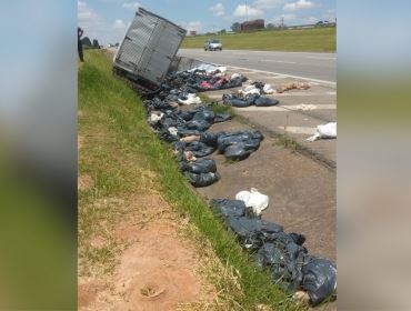 Caminhão que levava cachorros mortos para incineração tomba em rodovia no interior de SP