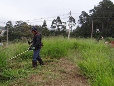 Mais de 400 lotes já foram limpos pela Secretaria de Serviços