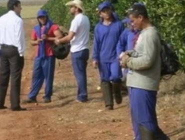 Dono de fazenda investigada por MPT promete regularizar trabalhadores