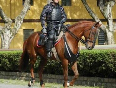 Tropa de Choque reforça proteção para cavalaria durante a Copa em SP