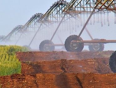 Aposta na irrigação para diminuir a dependência das condições climáticas