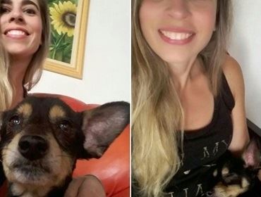 Dona acha cão perdido depois de 6 anos após ver foto na web: 'Milagre'