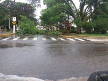 Chuva causa estragos em Avaré