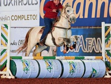 Aos 65 anos, atleta conquista importante título durante o 40º Campeonato Nacional do Quarto de Milha