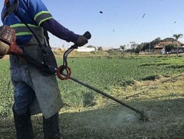 PREFEITURA INICIA LIMPEZA EM LAGO PARA COMBATER PROLIFERAÇÃO DE PERNILONGOS