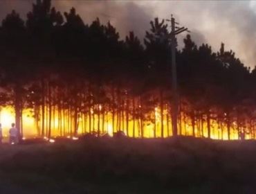 Bombeiros atendem quase 30 casos de fogo em mato em um dia na região de Itapetininga