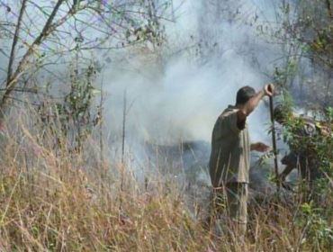 Incêndio de grandes proporções em mata mobiliza os bombeiros de Itapeva