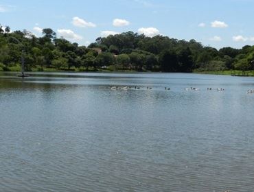 Horto Florestal convida para Reunião do Conselho que irá tratar sobre as Oficinas Participativas