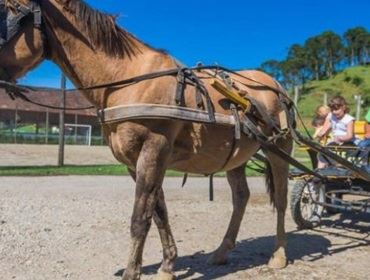 Inscrições abertas para o curso de Turismo Rural