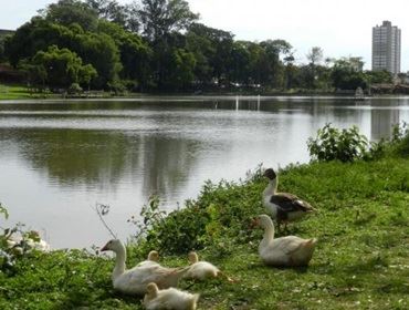 Neste próximo domingo, a segunda edição do Cultura no Horto