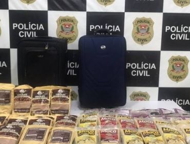 Polícia de SP apreende cocaína colorida que escapa de cão farejador e narcoteste