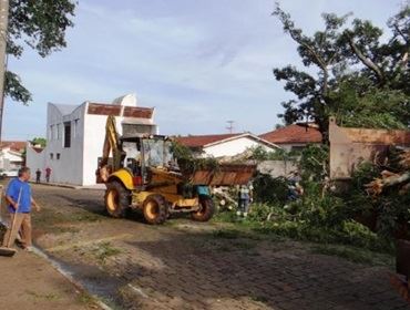 Prefeitura age na remoção  de árvores arrancadas por temporal