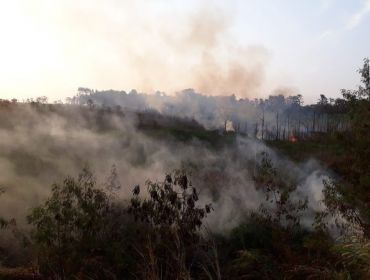 Fogo atinge área de mata e mobiliza bombeiros em Avaré