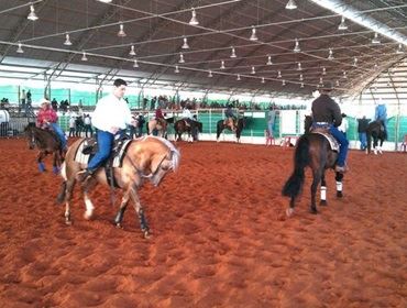  Abertas inscrições para o 37º Campeonato Nacional do Cavalo Quarto de Milha