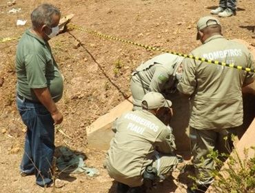 Morador encontra corpo de homem ao lado de crânio em pasto de Avaré