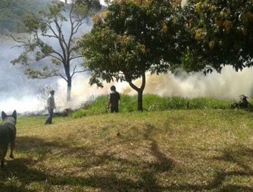 Incêndio destrói área equivalente a 200 campos de futebol em Arandu