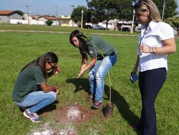 Atividades marcam as comemorações da Semana do Meio Ambiente