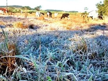 Frio extremo na região